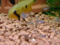 DSCF0047