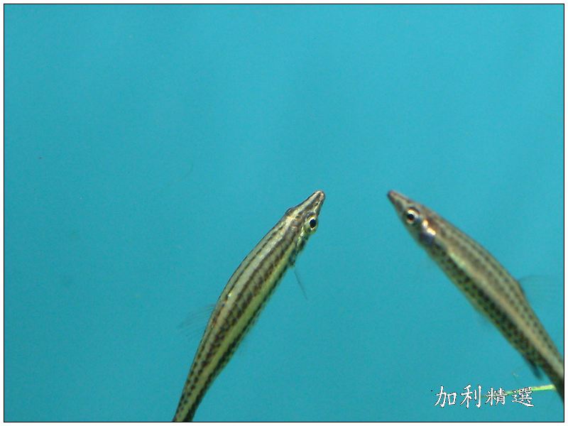 ga030524-20