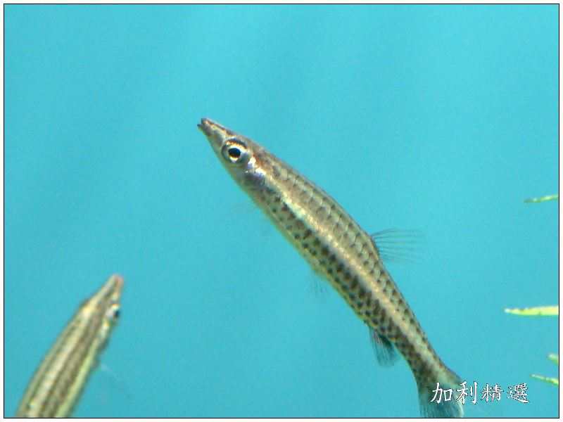 ga030524-21