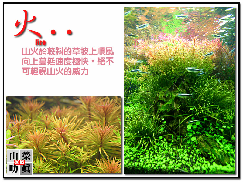 火