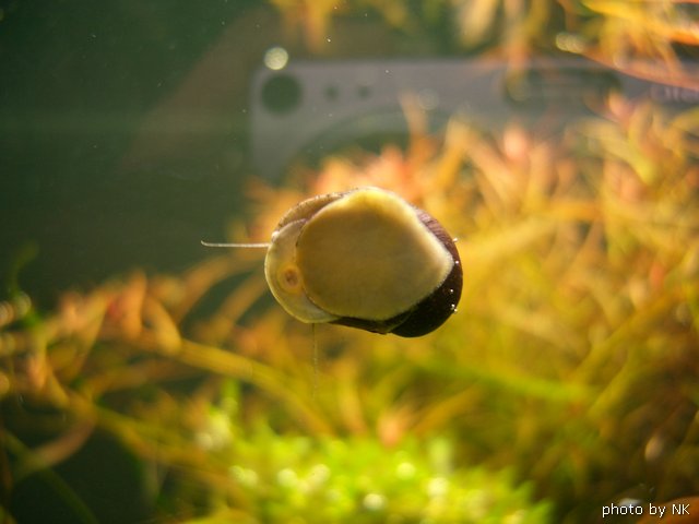 Image00048