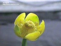 010126-05B