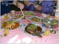 livefish-10