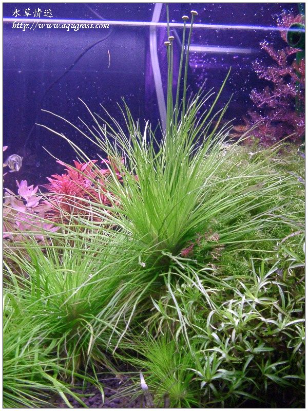 aquafeel-08