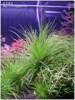 aquafeel-08