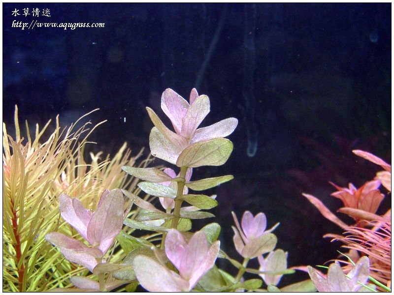 aquafeel-12