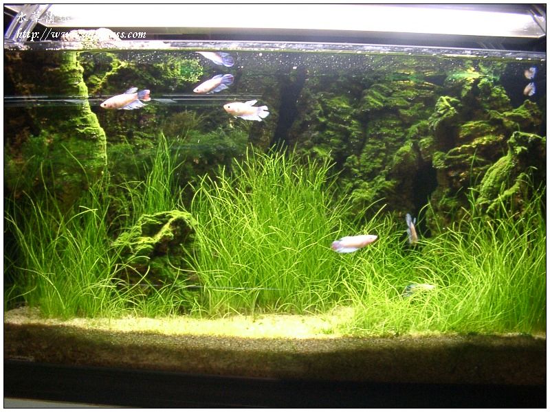 aquafeel-23