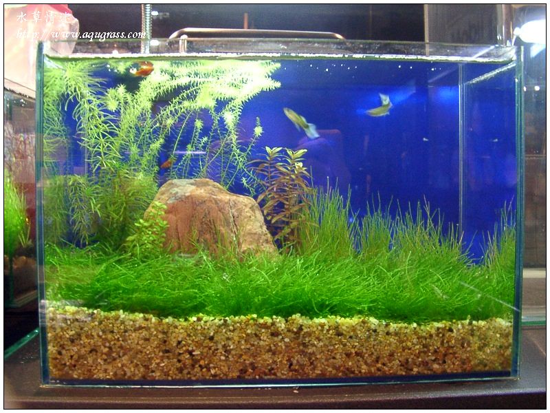 aquafeel-39