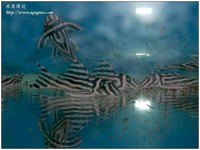 wateraqua-22
