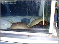 marineaqua-01