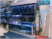 marineaqua-03