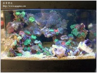 marineaqua-04
